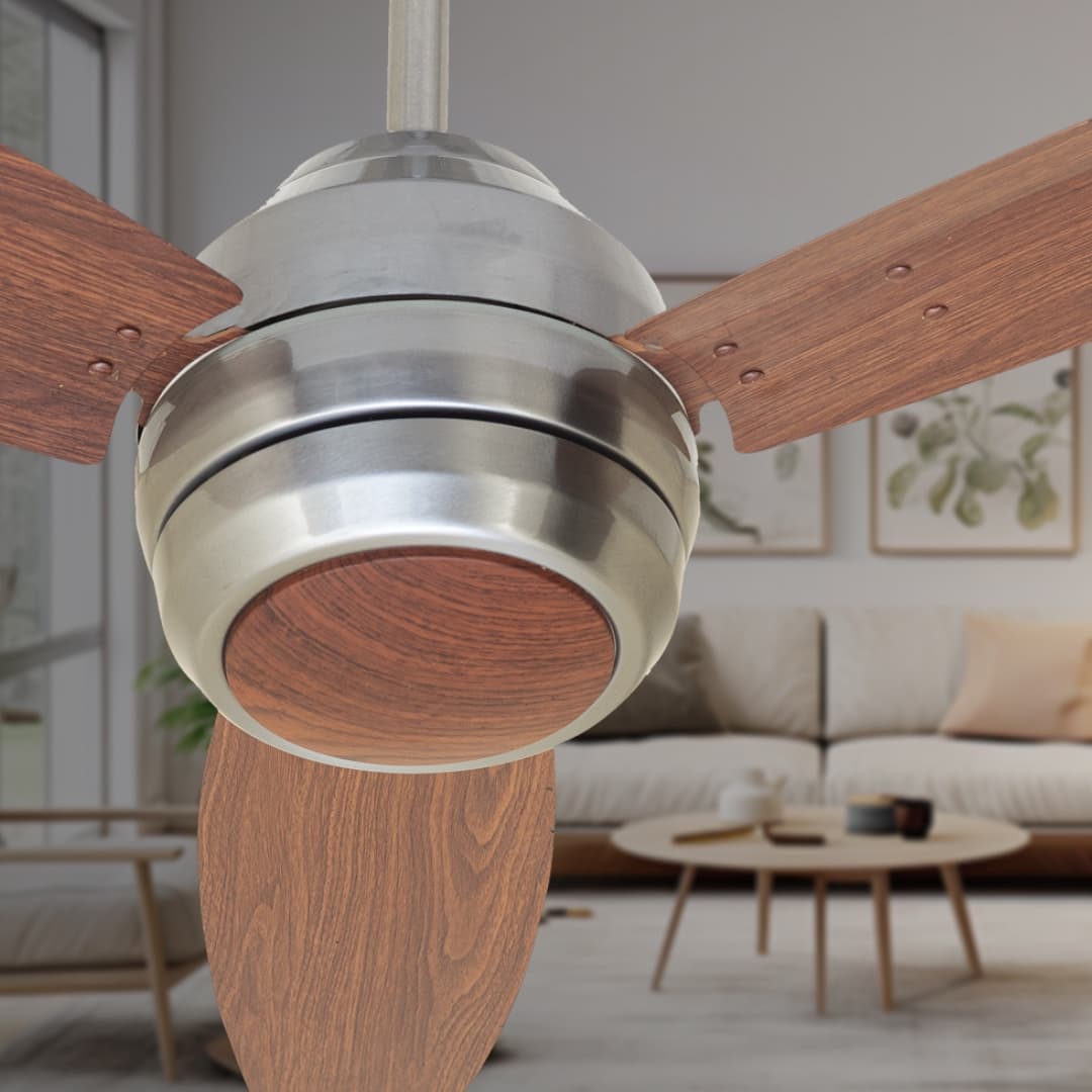 Ceiling Fans